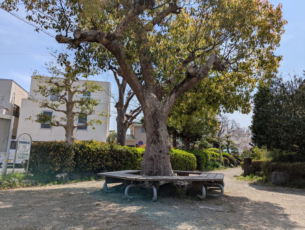 大きな木のベンチ