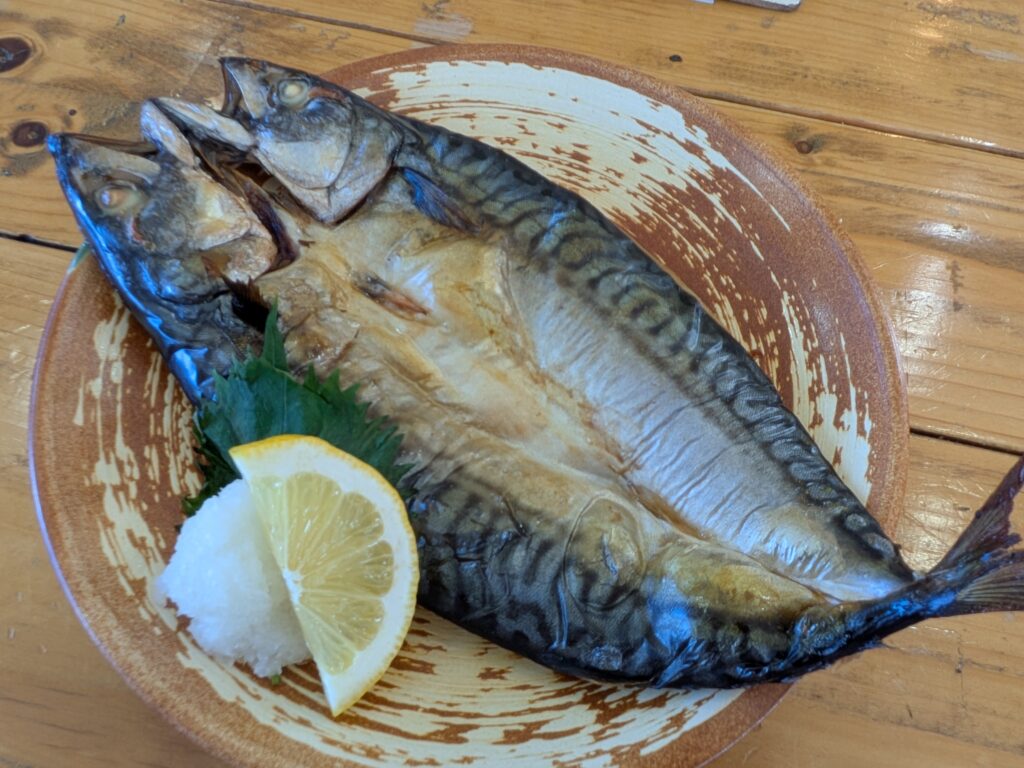 朝開き　トロさば